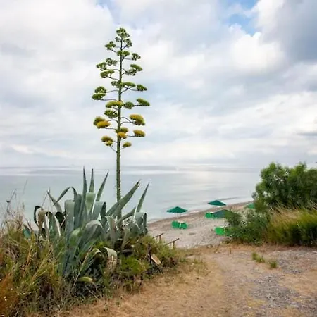 Sea View, 100m From The Beach! Apartment Mola Kalyva