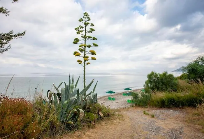Sea View, 100m From The Beach! Apartamento Mola Kalyva